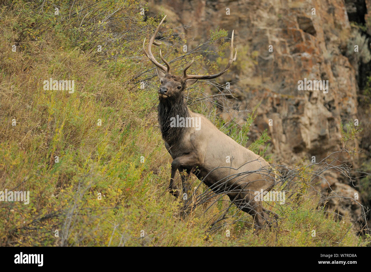 Kirghizstan Stock Photos Kirghizstan Stock Images Page 2 Alamy