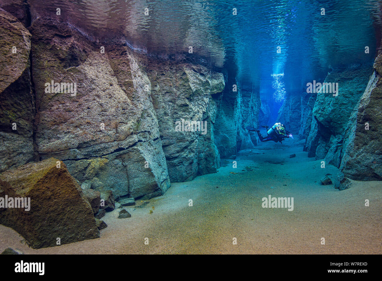 Diver in Nes Canyon, a fault filled with fresh water in the rift valley  between the Eurasian and American tectonic plates in northern Iceland Stock  Photo - Alamy