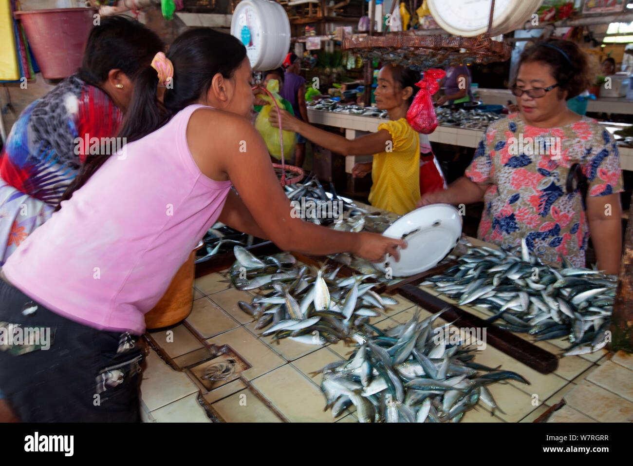 Women at fishmarket, Talibon, Danajon Bank, Central Visayas, Philippines, April 2013 Stock Photo