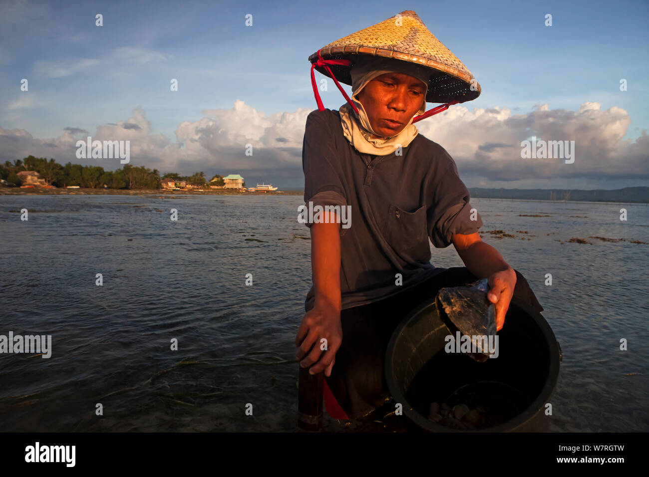Woman foraging for sea food, Batasan Island, Danajon Bank, Central Visayas, Philippines, April 2013 Stock Photo
