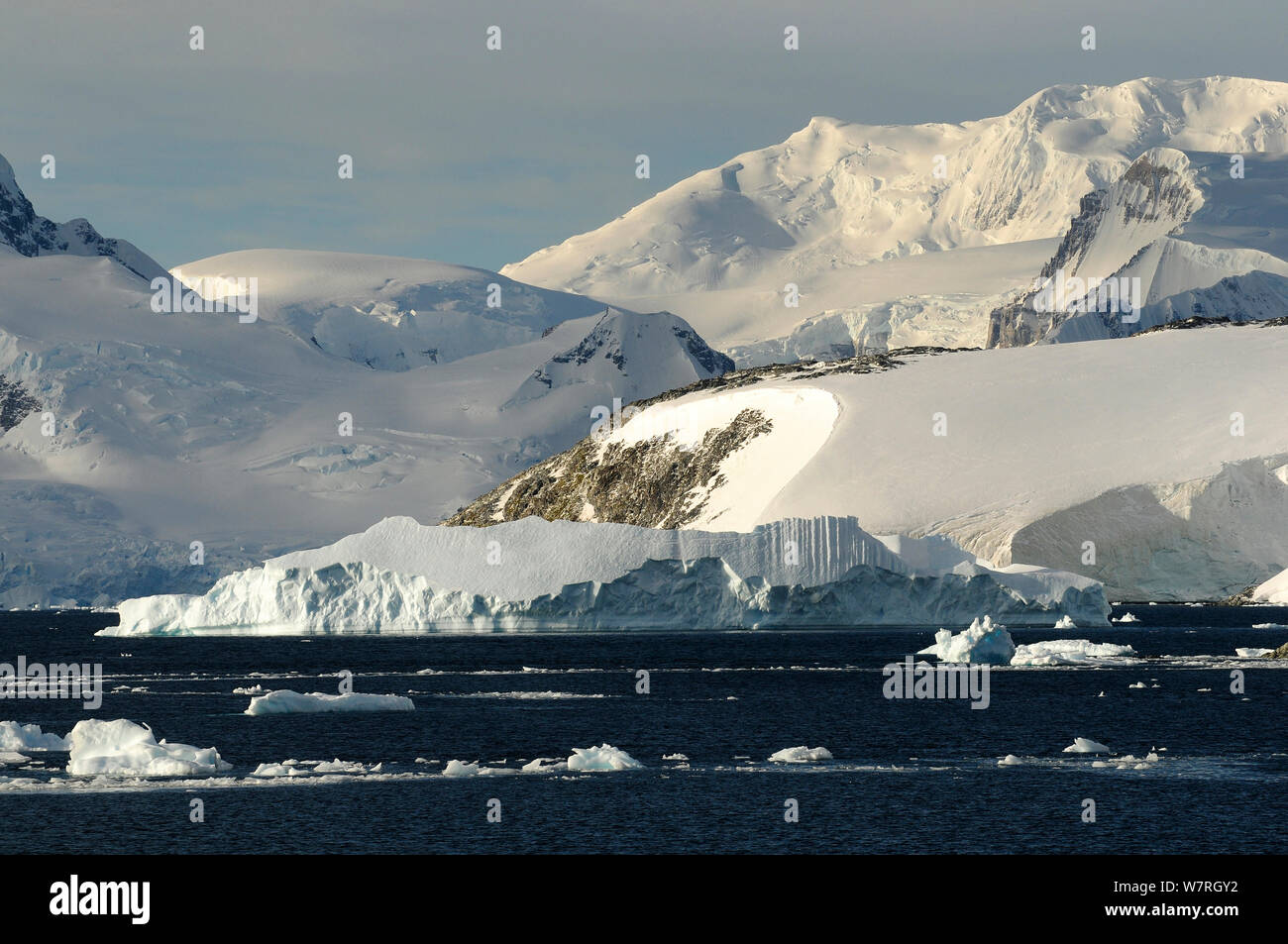 Glaciers on the coast of the Antarctic Peninsula, Antarctica Stock Photo