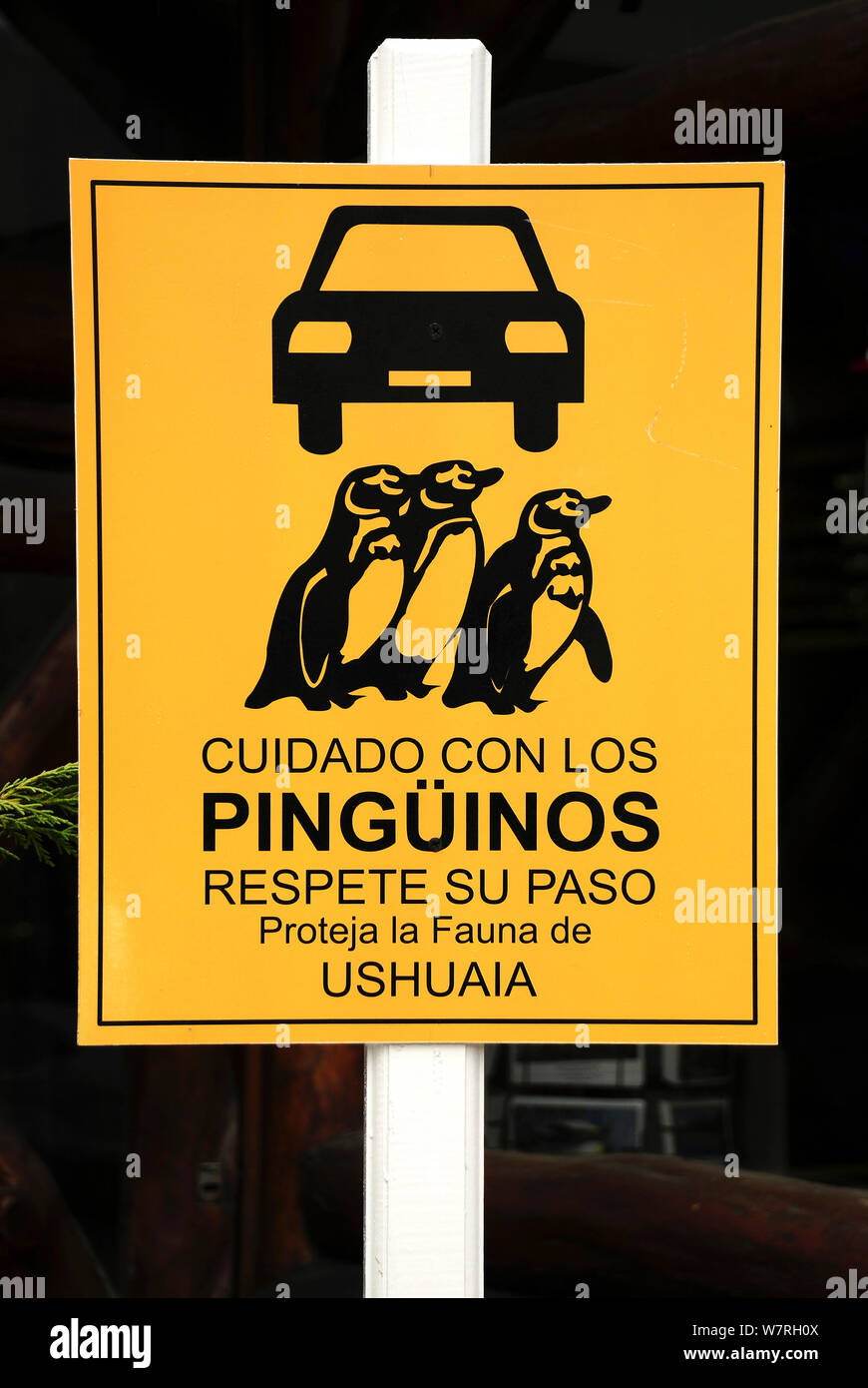 Penguin road crossing sign hi-res stock photography and images - Alamy