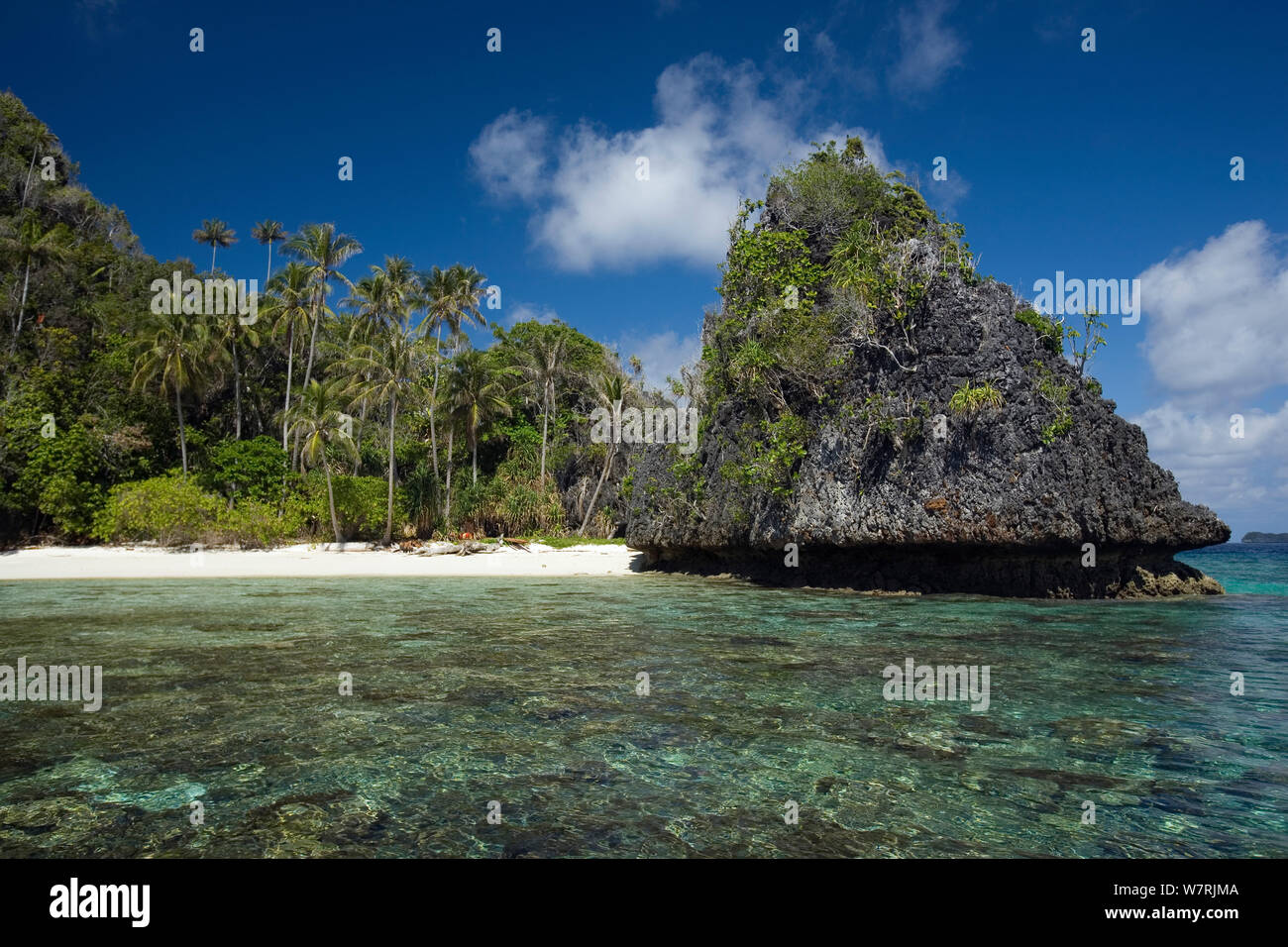 White sandy beach and palm trees on an island of the Farondi Islands group, Misool, Raja Ampat, Irian Jaya, West Papua, Indonesia, Pacific Ocean Stock Photo