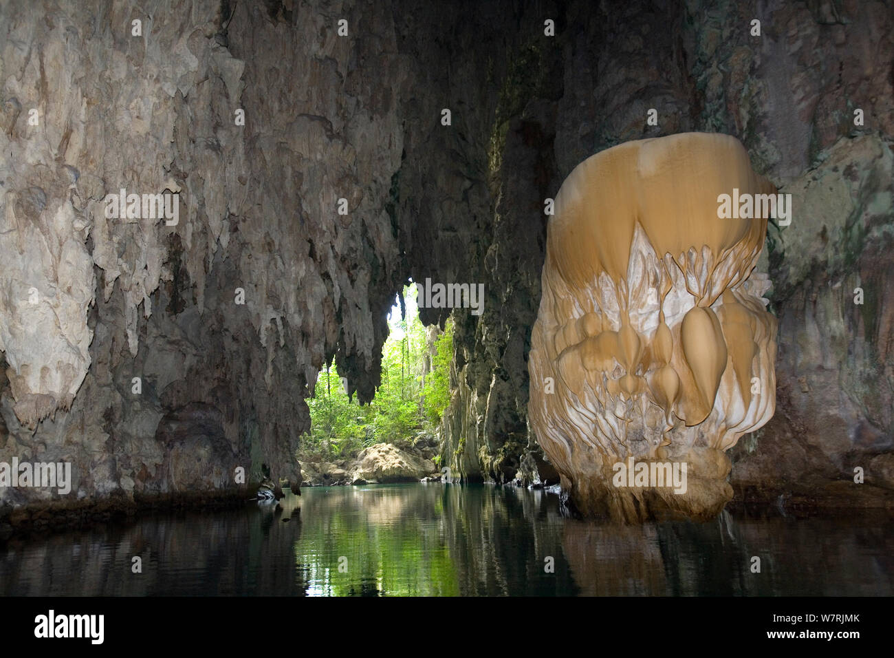 Karst formation inside a big cave, Raja Ampat, Irian Jaya, West Papua, Indonesia, Pacific Ocean Stock Photo