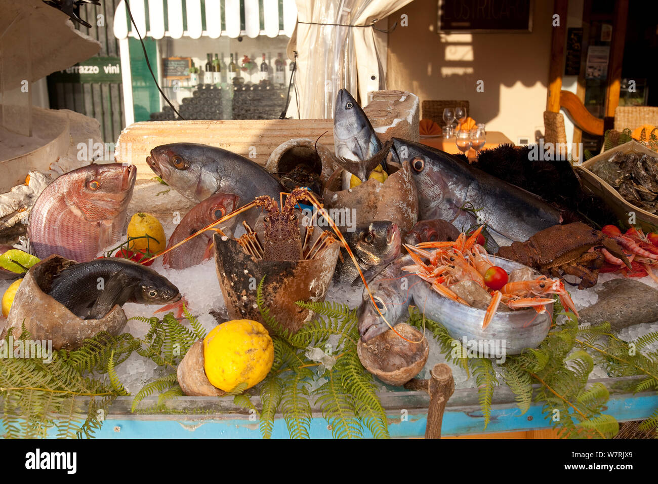 Fresh fish and mixed seafood on ice  in restaurant, Ischia Island, Italy, Tyrrhenian Sea, Mediterranean Stock Photo