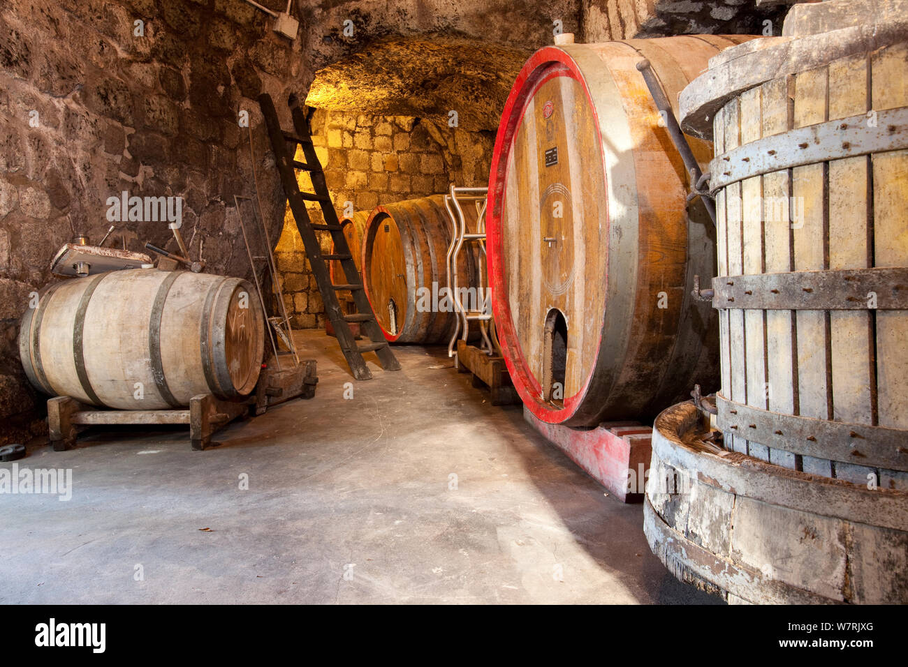 Wine cellars, Ischia Island, Italy, Tyrrhenian Sea, Mediterranean Stock Photo