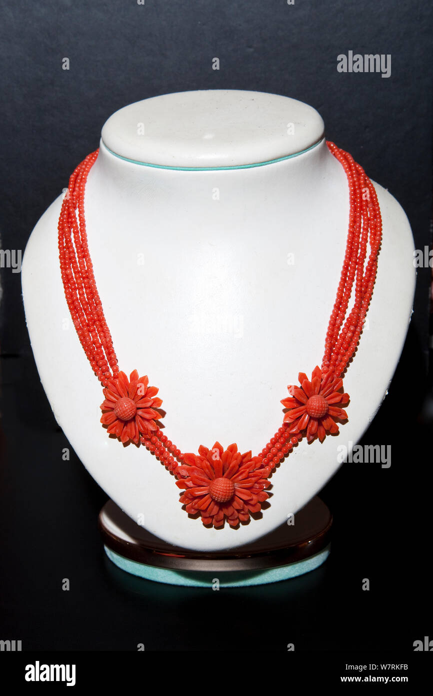 1,000+ Coral Necklace Stock Photos, Pictures & Royalty-Free Images