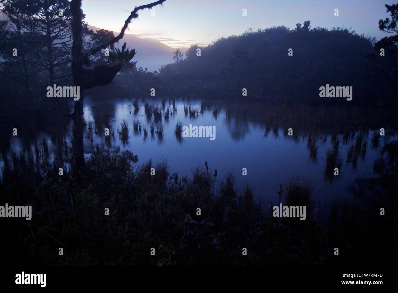 Montane pond reflects the dawn sky near Lake Habbema. Jayawijaya Mountains, Papua, New Guinea, Indonesia. June 2010 Stock Photo