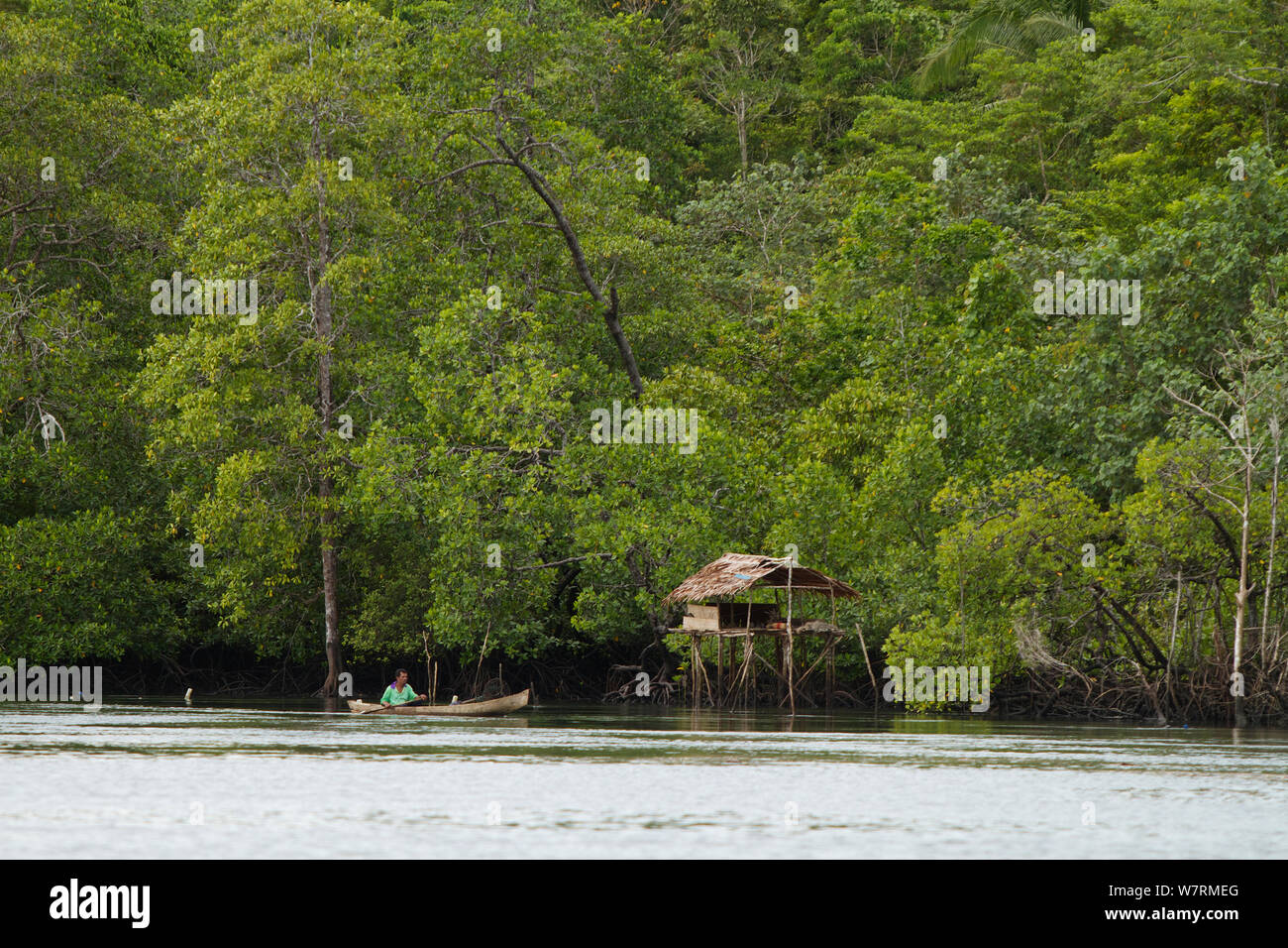 Paddler and hut along Manumbai Channel, Aru Islands, Indonesia, September 2010 Stock Photo