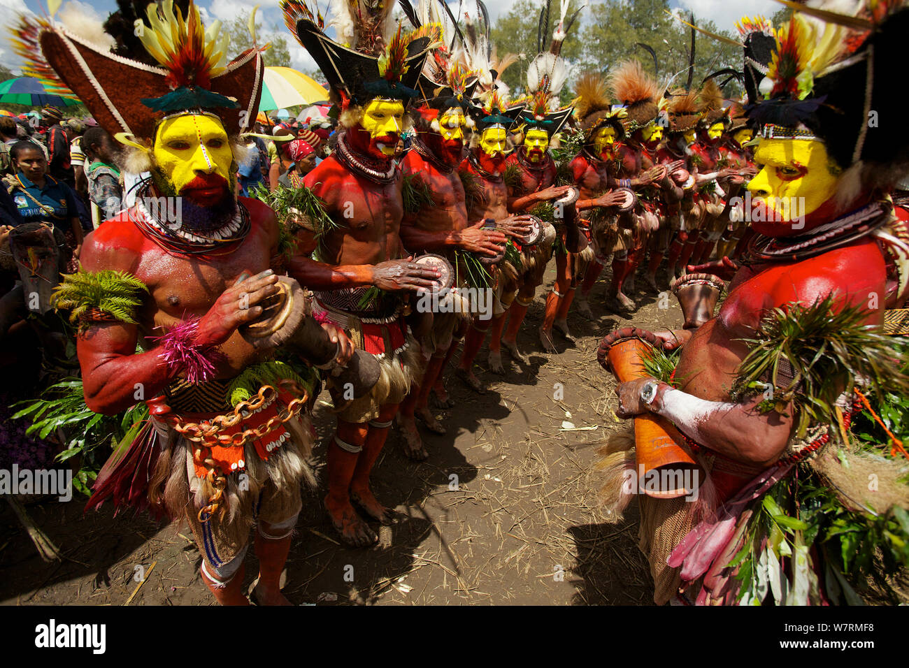 Huli 'singsing' dance ceremony. Huli wigmen wearing human hair wigs and feathers of various birds of paradise and other bird species. Tari Valley, Southern Highlands Province, Papua New Guinea. November 2010 Stock Photo