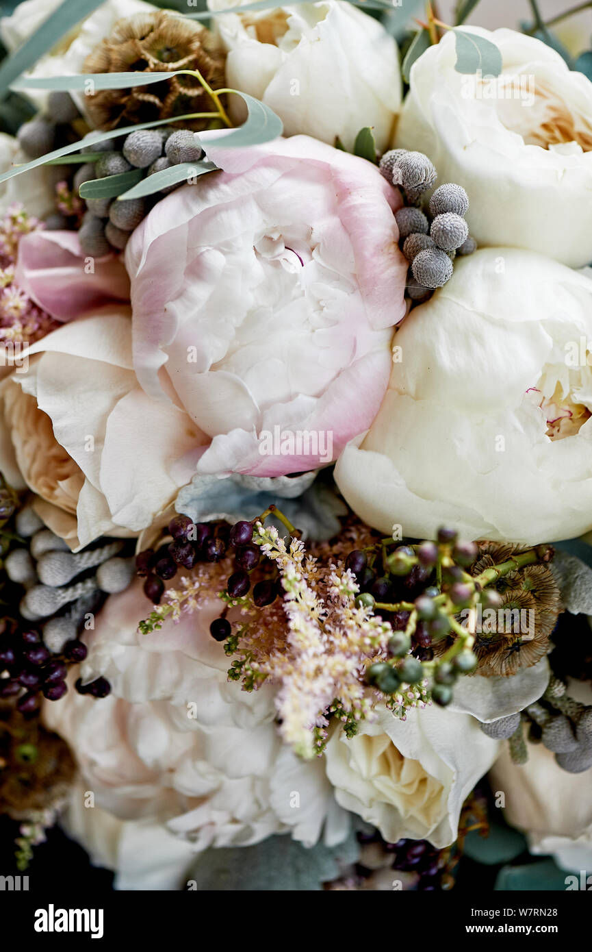 Peony roses in the bride's bouquet of pink.Closely Stock Photo - Alamy