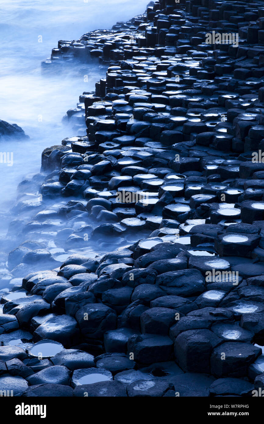 Giant's Causeway, UNESCO World Heritage Site, County Antrim, Northern Ireland, Europe, June 2011. Stock Photo