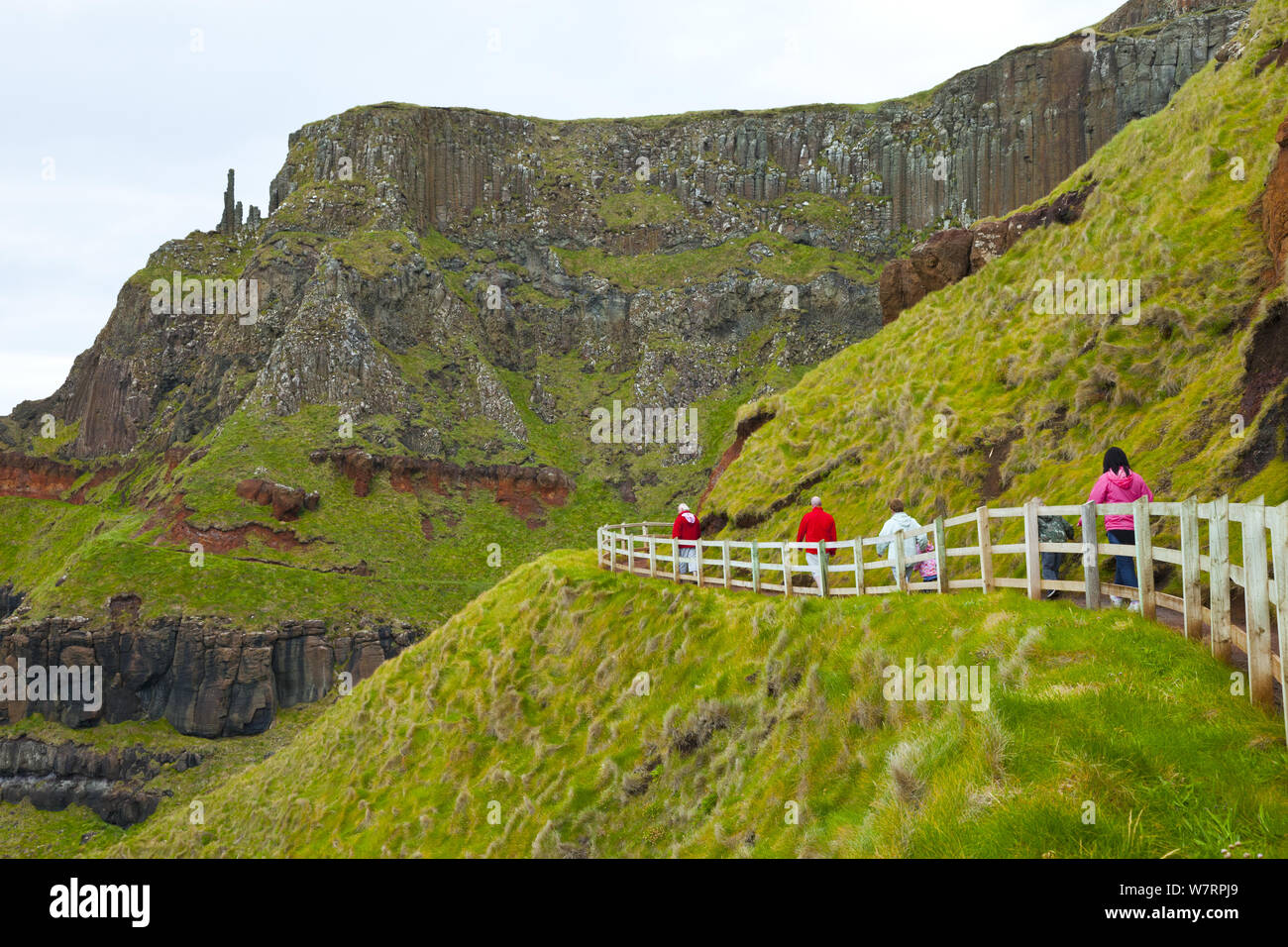 Tourists walking along the coastal route near The Amphitheatre, Giant's Causeway, UNESCO World Heritage Site, County Antrim, Northern Ireland, Europe, June 2011 Stock Photo