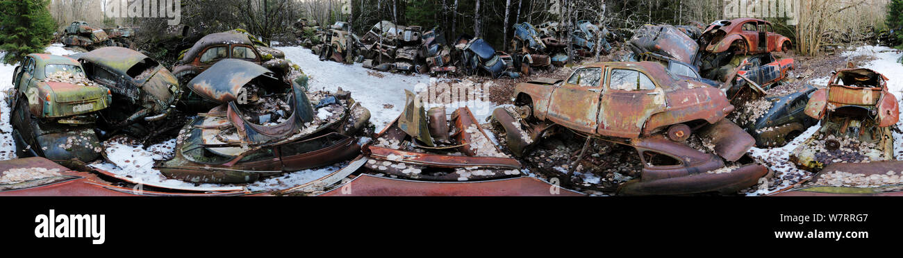 Panoramic of abandoned cars in a 'car graveyard', Bastnas, Sweden. April Stock Photo
