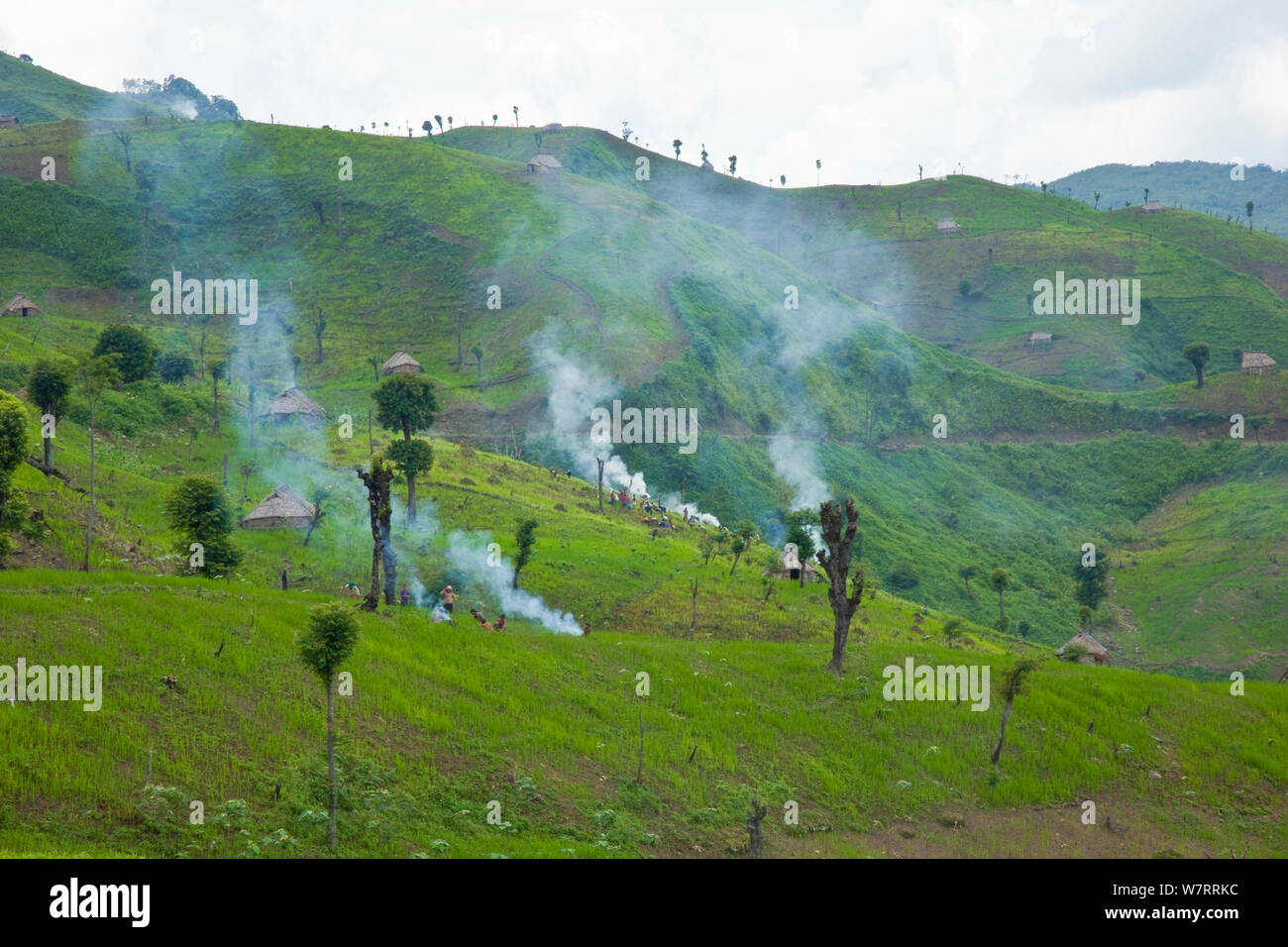Deforested hillside, cleared for agricultural use, Arunachal Pradesh, India, 2008. Stock Photo