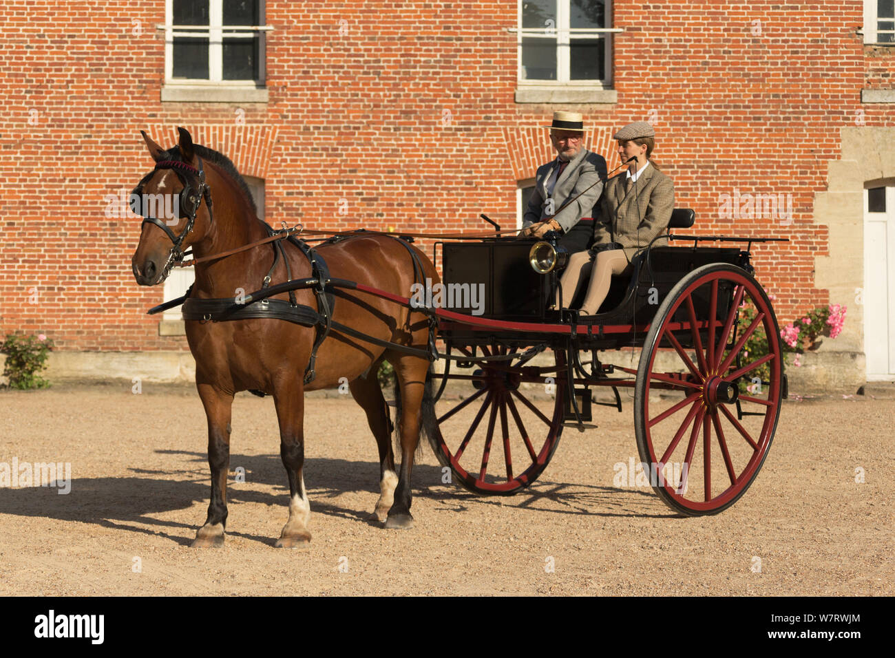 A traditionally dressed gentleman and his groom driving a Norman Cob, harnessed to a dog cart, in the Cour D'Honneur of the Haras Du Pin, France's oldest national stud, at Le Pin-au-Haras, Orne, Lower Normandy, France. July 2013 Stock Photo