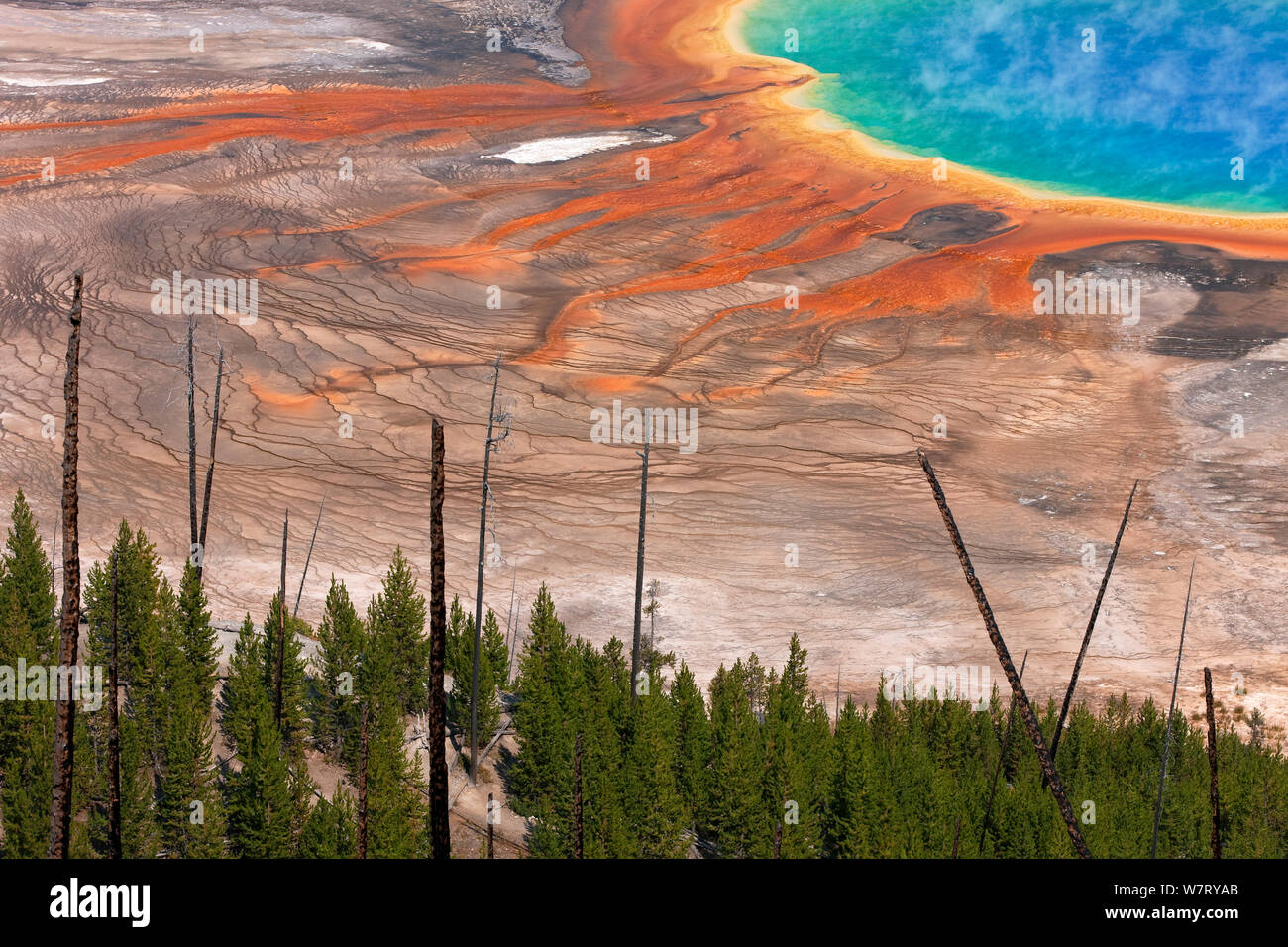 Grand Prismatic Spring, Midway Geyser Basin, Yellowstone National Park, Wyoming, USA, September 2011. Stock Photo