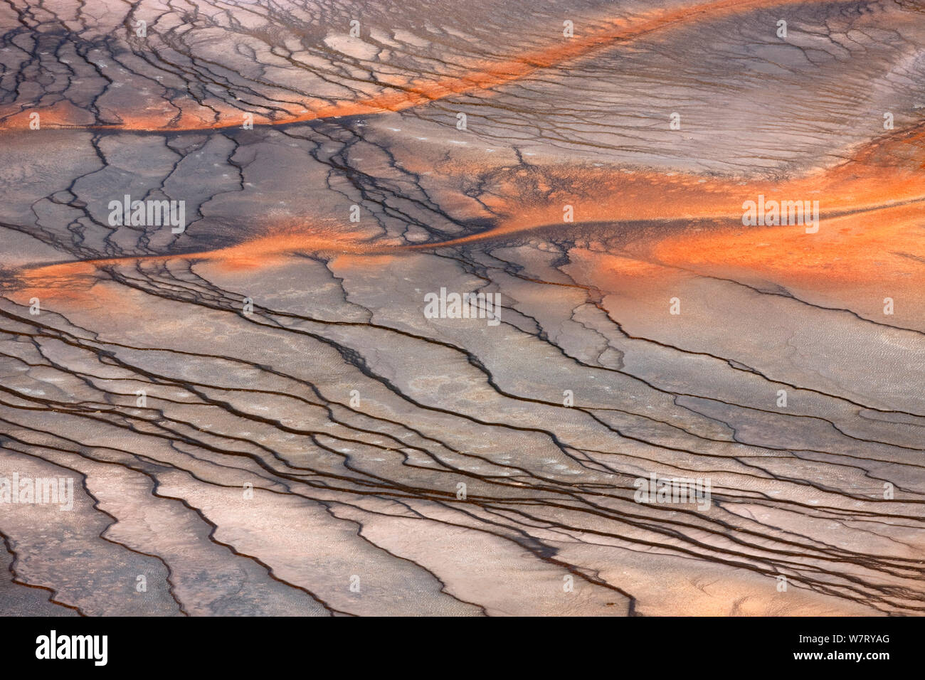 Bacterial mats in Grand Prismatic Spring, Midway Geyser Basin, Yellowstone National Park, Wyoming, USA, September 2011. Stock Photo