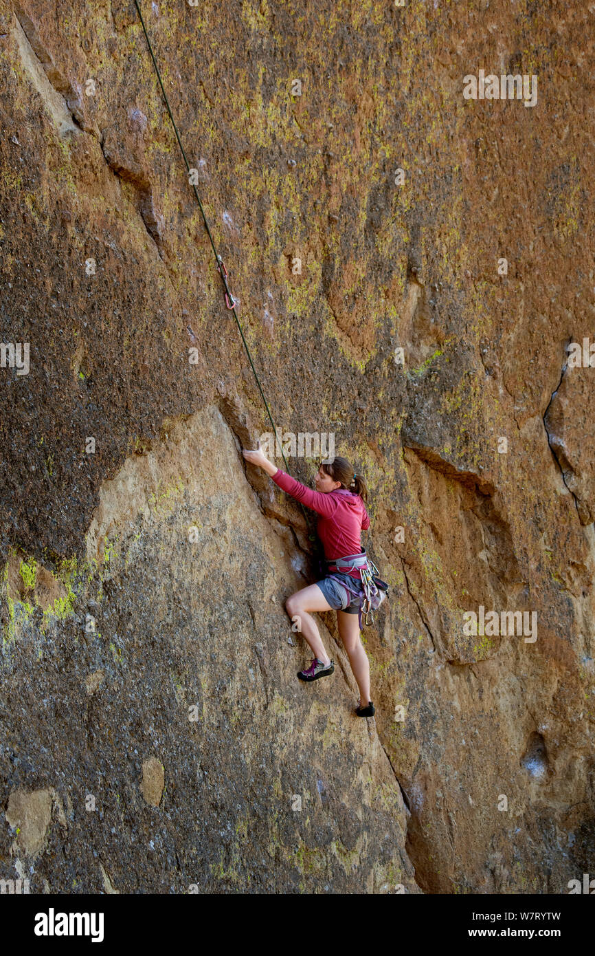 Woman climbing the Screaming Yellow Zonkers route in Smith Rocks State Park, Oregon. May 2013. Model released. Stock Photo
