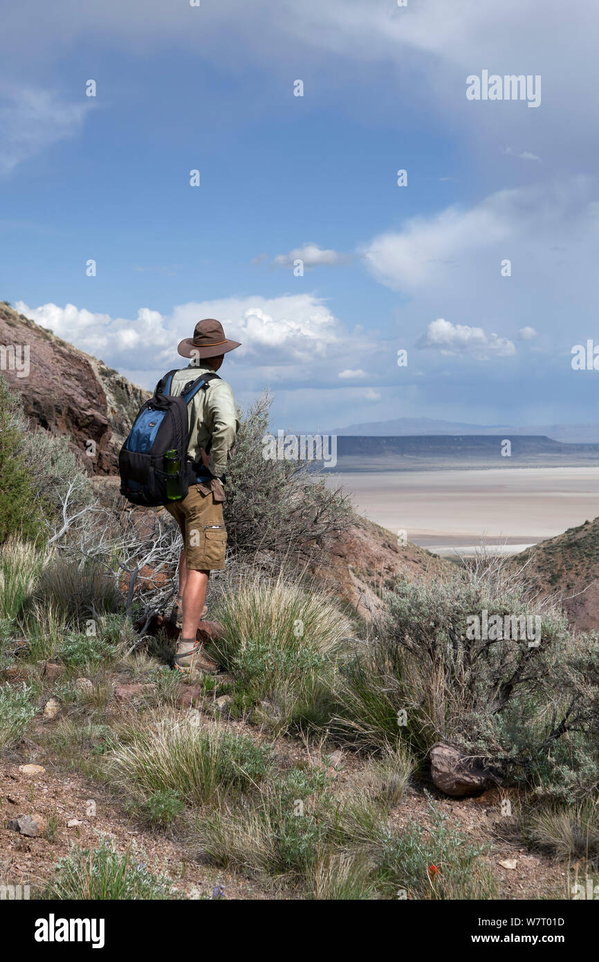 Man hiking on the Pike Creek Trail in the Steens Mountains Wilderness, Oregon, USA, May 2013. Model released. Stock Photo