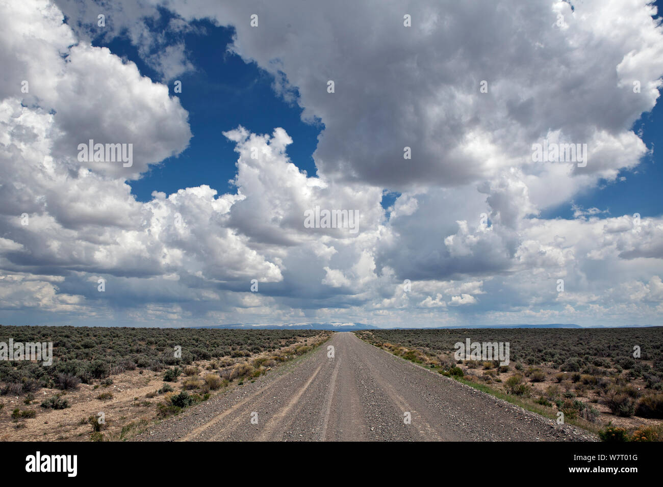 Blue sky with clouds above road in Heart Mountain National Antelope Refuge, Oregon, USA, May 2013. Stock Photo