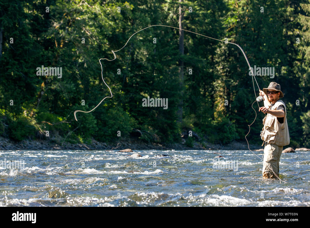 Man fly fishing on the Middle Fork of the Snoqualme River near North Bend, Washington, USA, July 2013. Model released. Stock Photo