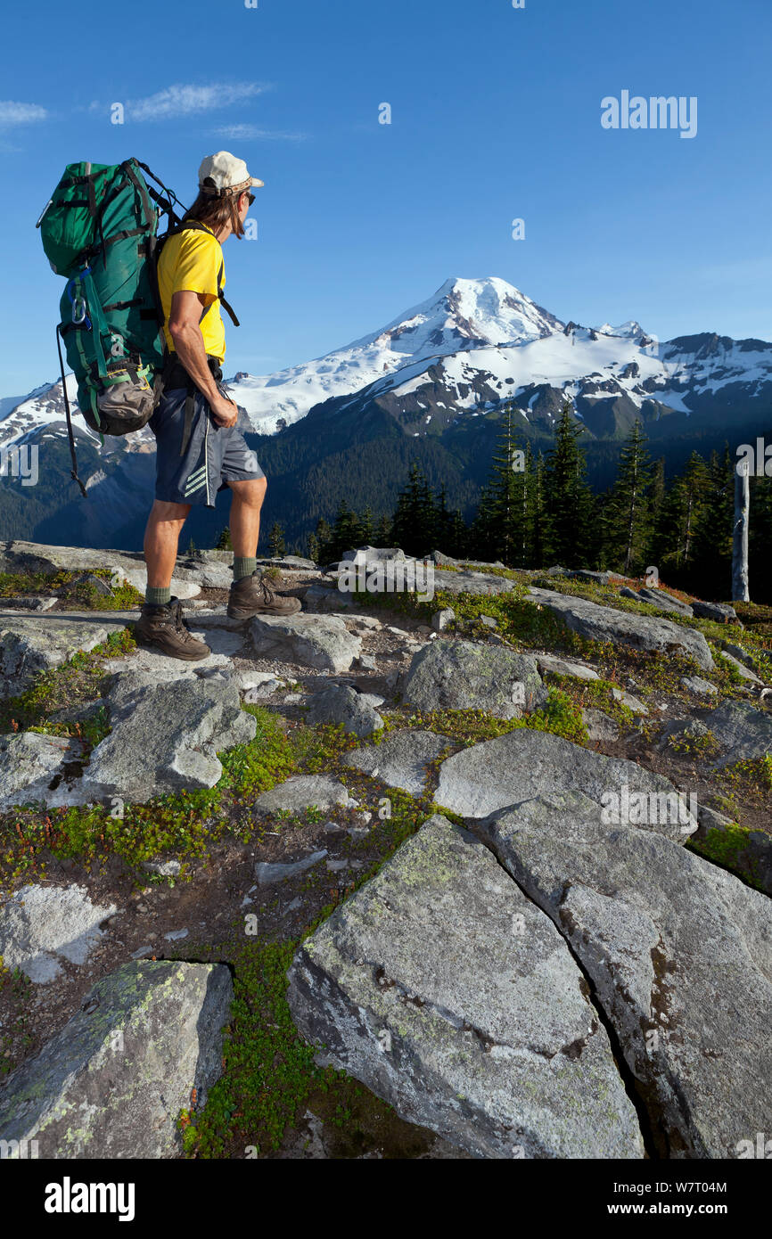 Hiker on Cougar Divide in the Mount Baker Wilderness with Mount Baker in the distance, Baker-Snoqualmie National Forest. Washington, USA, August 2013. Model released. Stock Photo