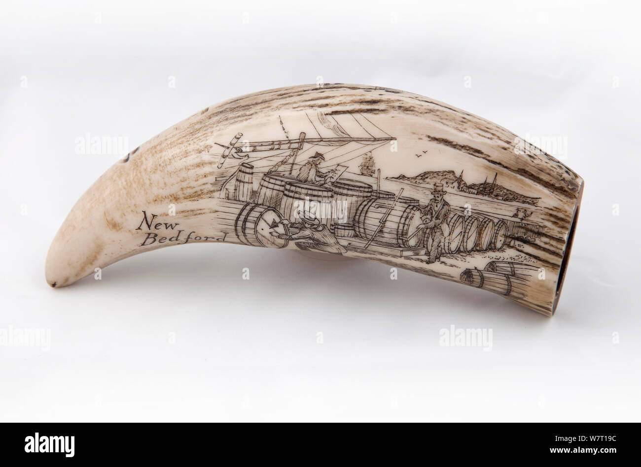 Whale tooth scrimshaw with pictorial etching of men inspecting barrels before voyage (probably a replica). Stock Photo