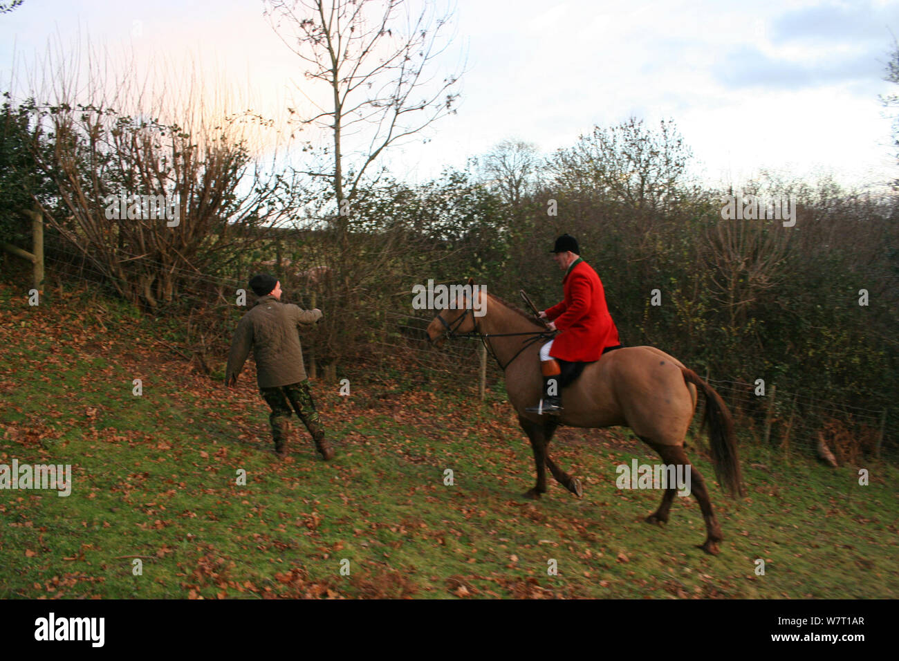 Huntsman chases a hunt saboteur, South Herefordshire, UK Stock Photo
