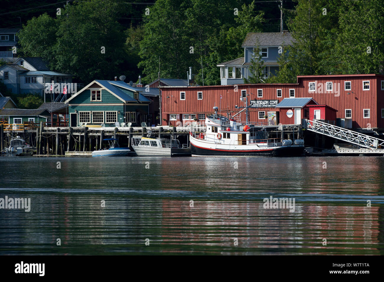Boats moored in Telegraph Cove, East coast, Vancouver Island, British Columbia, Canada, July. Stock Photo