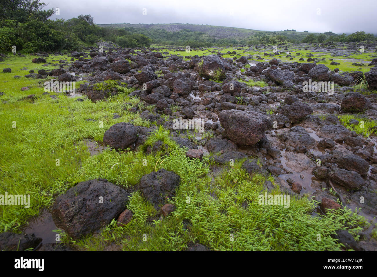 Lava rocks at the Deccan Traps near Koyna lake. Western Ghats, India. Stock Photo