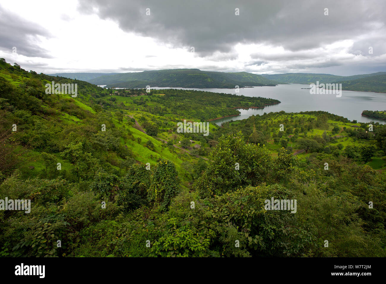 Landscape of Koyna Lake, with houses, during the monsoon. Western Ghats, India. Stock Photo