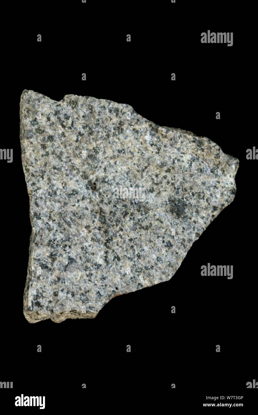 Monzonite, an intrusive igneous rock, from Wood county, Wisconsin, USA. Stock Photo