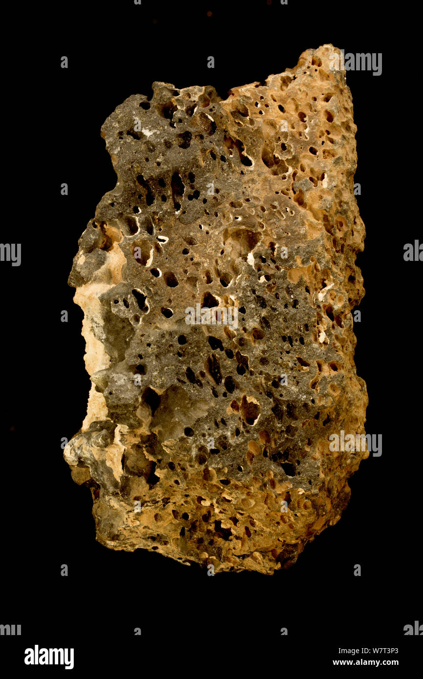 Vesicular basalt hires stock photography and images Alamy