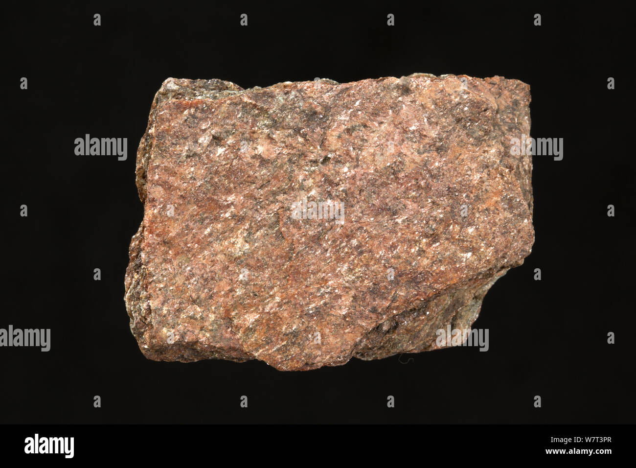 Mica Schist, a metamorphic rock containing mica crystals, from Nevada. Stock Photo
