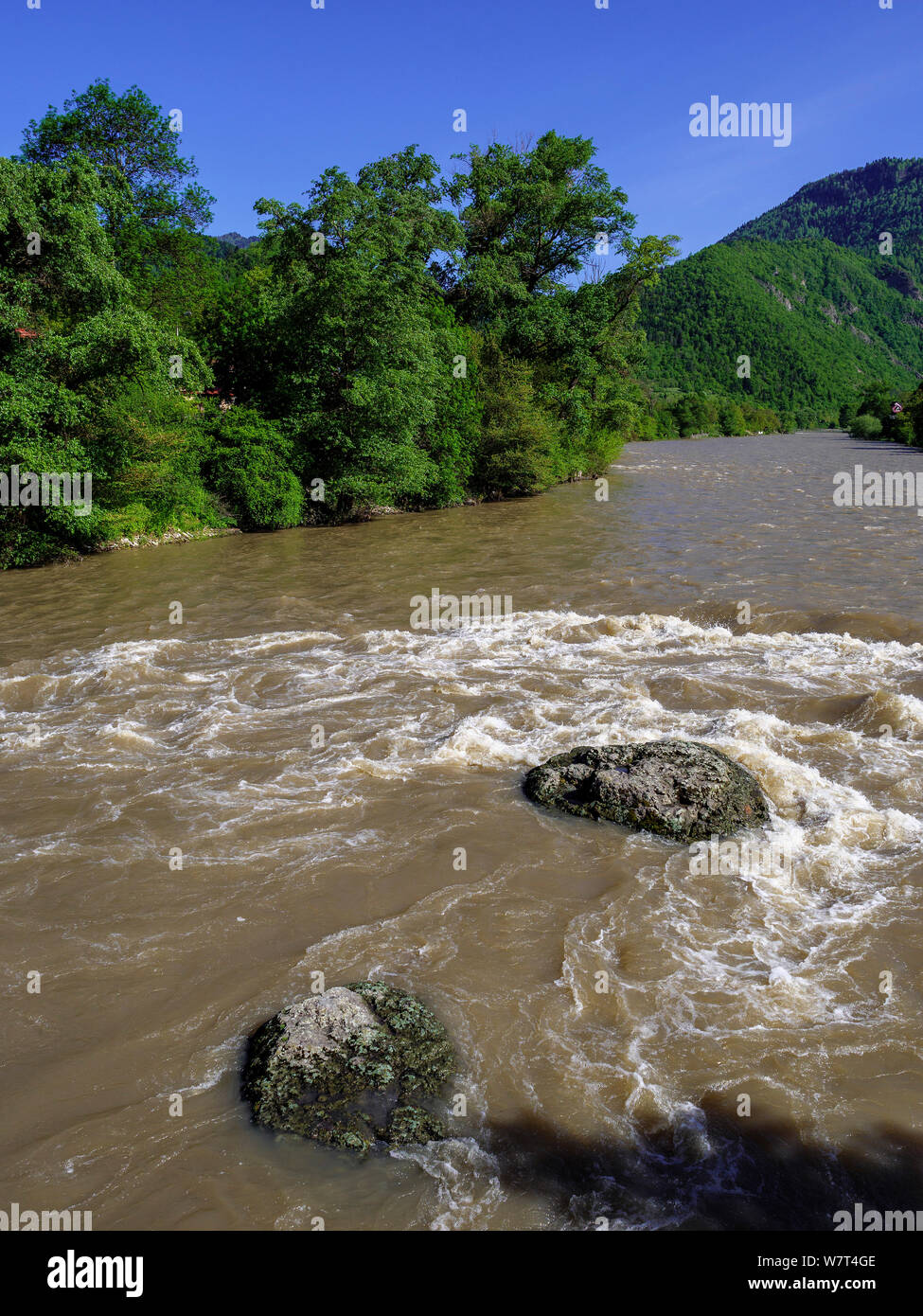 River Mtkavari - Kura near Borjomi, Samzche-Dschawacheti,  Georgia, Europe Stock Photo