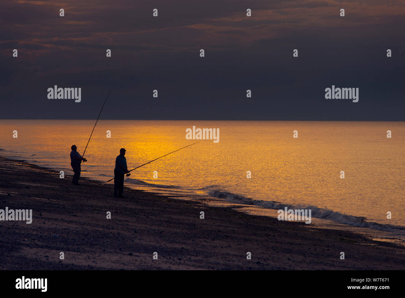 Fly fishermen fishing for Mackerel off Cley Beach at sunset, Norfolk, August 2013. Stock Photo