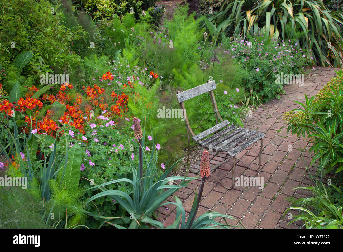 Brick path and old seat in garden, The Old Vicarage, East Ruston, England, UK, June. Stock Photo