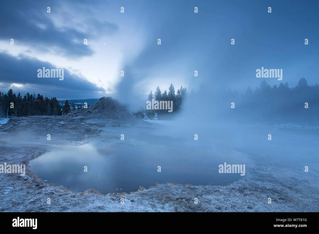 Castle Geyser at dawn, Yellowstone National Park, Wyoming, USA, February 2013., February. Stock Photo