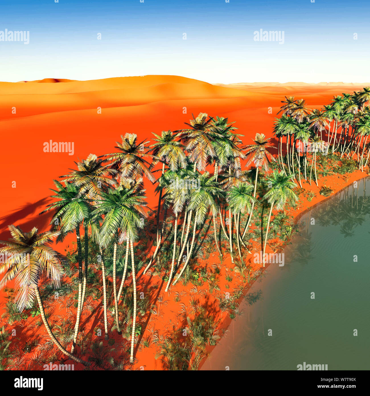 Palm trees near oasis in Africa 3d rendering Stock Photo Alamy