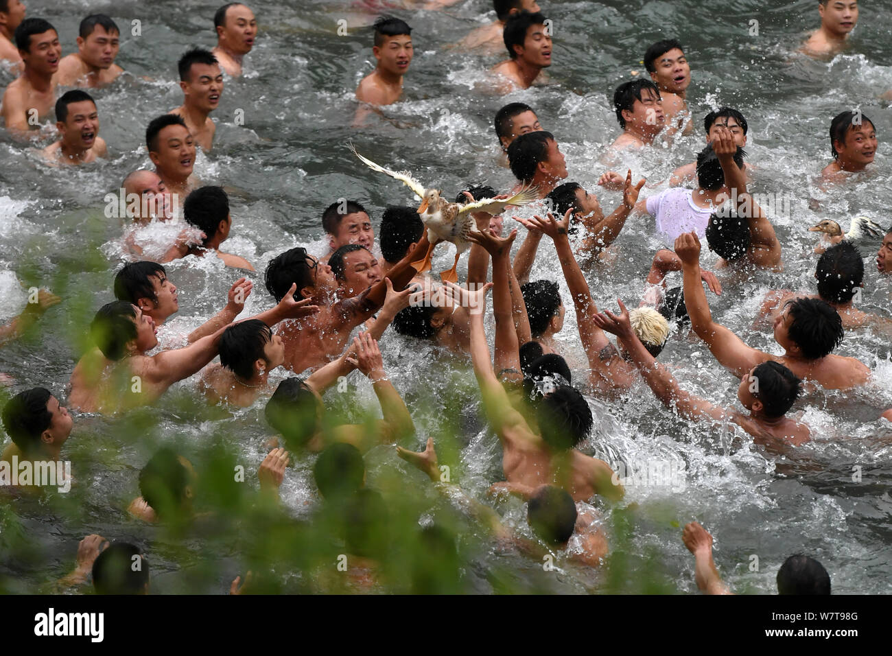 Chinese men catch ducks to celebrate the Dragon Boat Festival, also known as Duanwu Festival, in the Tuojiang River (Tuo River) in the Fenghuang Ancie Stock Photo