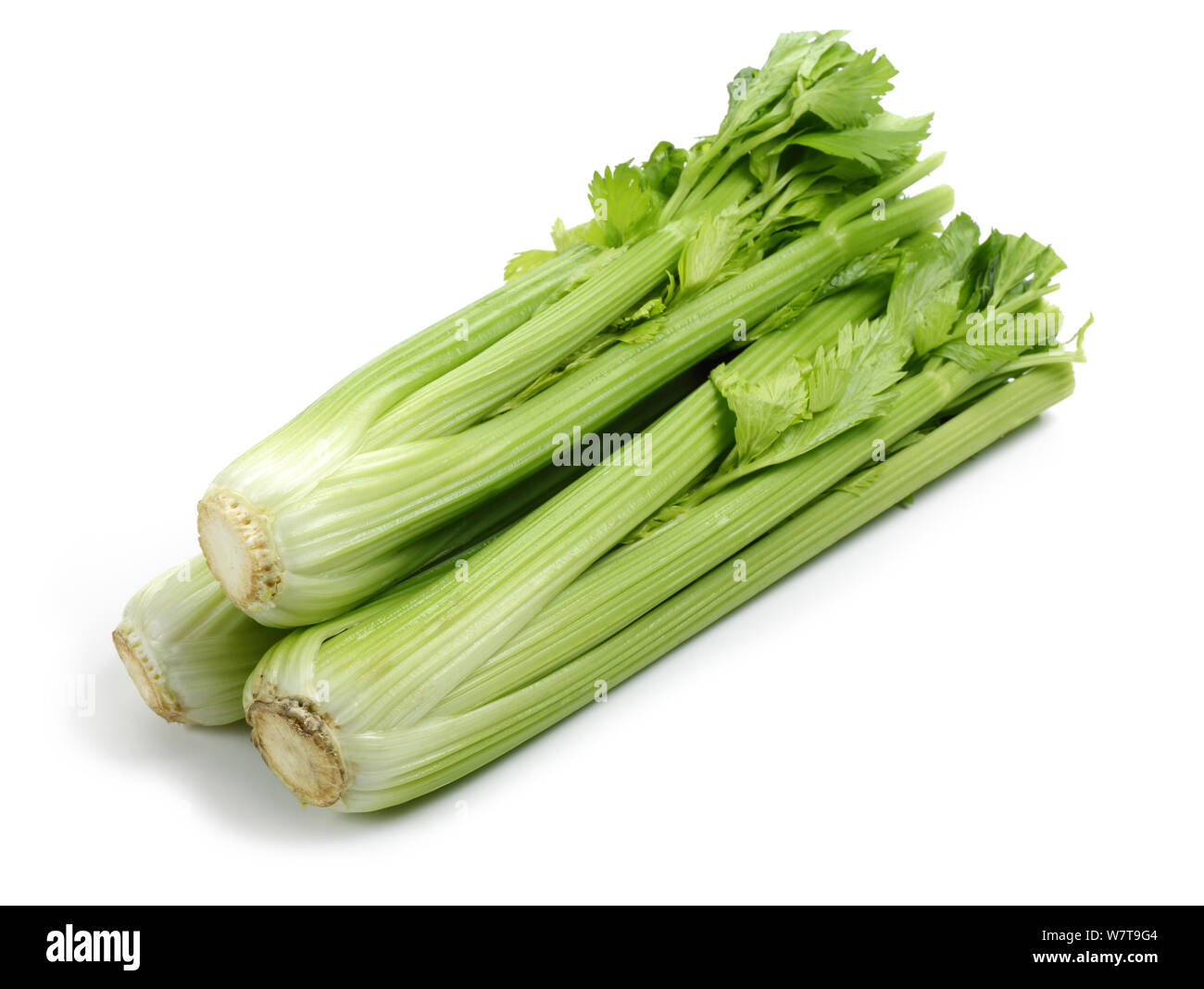 Fresh celery stalks and leaves isolated on white background Stock Photo ...