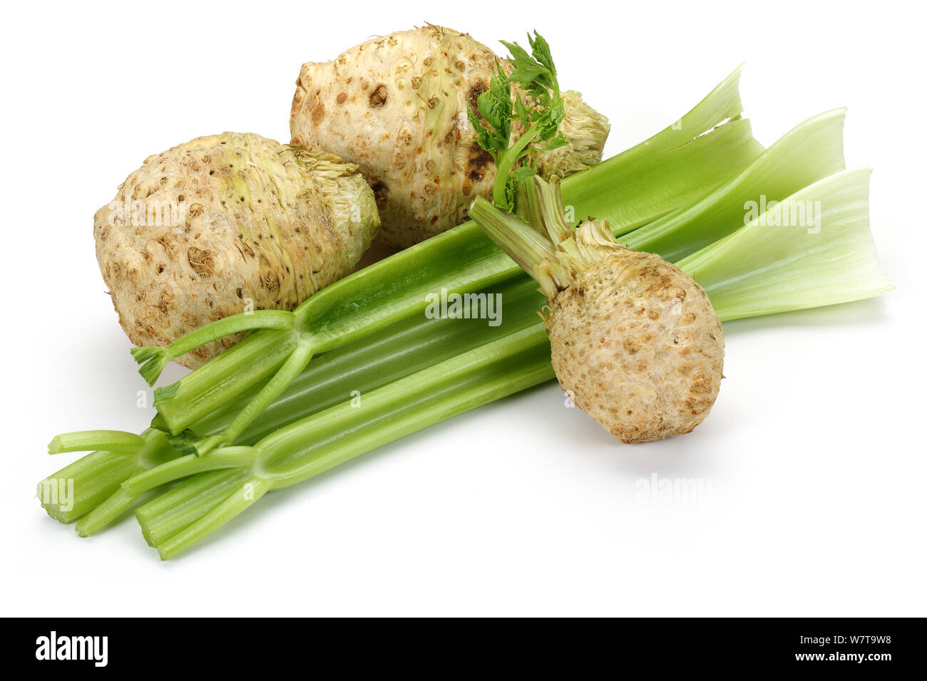 Fresh celeriac root with celery stalks isolated Stock Photo Alamy