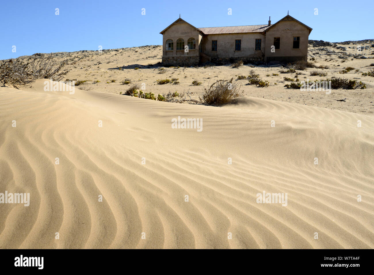 Abandoned house in sand dunes. Kolmanskop Ghost Town, an old diamond-mining town where shifting sand dunes have encroached abandoned houses, Namib Desert Namibia, October 2013. Stock Photo