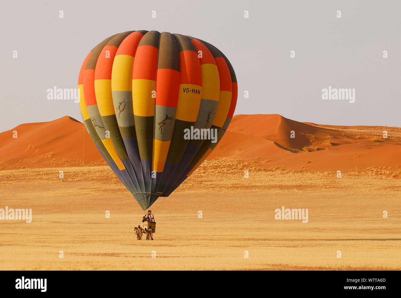 hot air balloon rides in february
