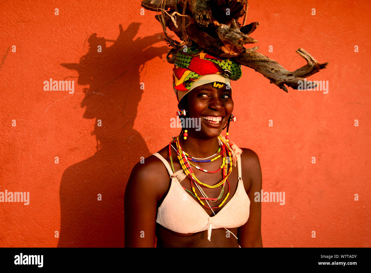 Zemba woman, carrying firewood on her head, Opuwo, Kaokoland, Namibia, September 2013. Stock Photo