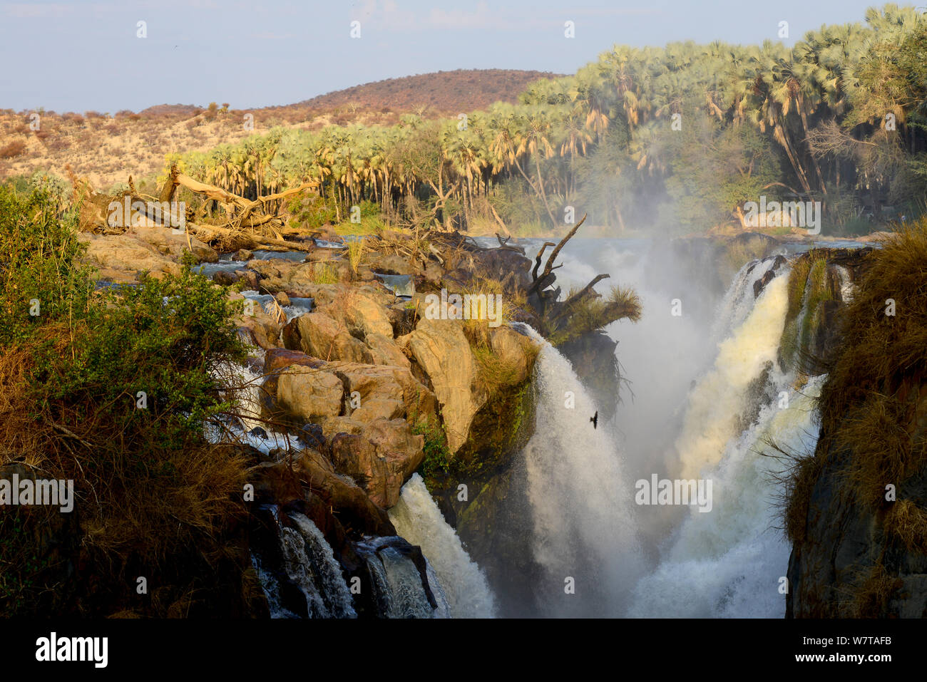 Epupa falls on the Kunene river, on the border between Namibia and Angola. Kaokoland, Namibia, September 2013. Stock Photo