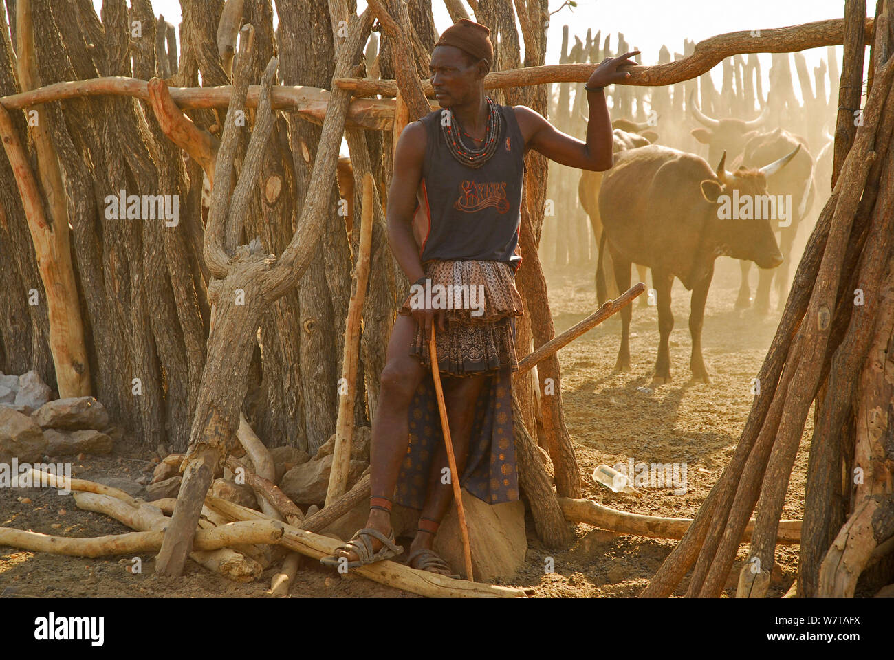 African native tribes himba village hi-res stock photography and images ...
