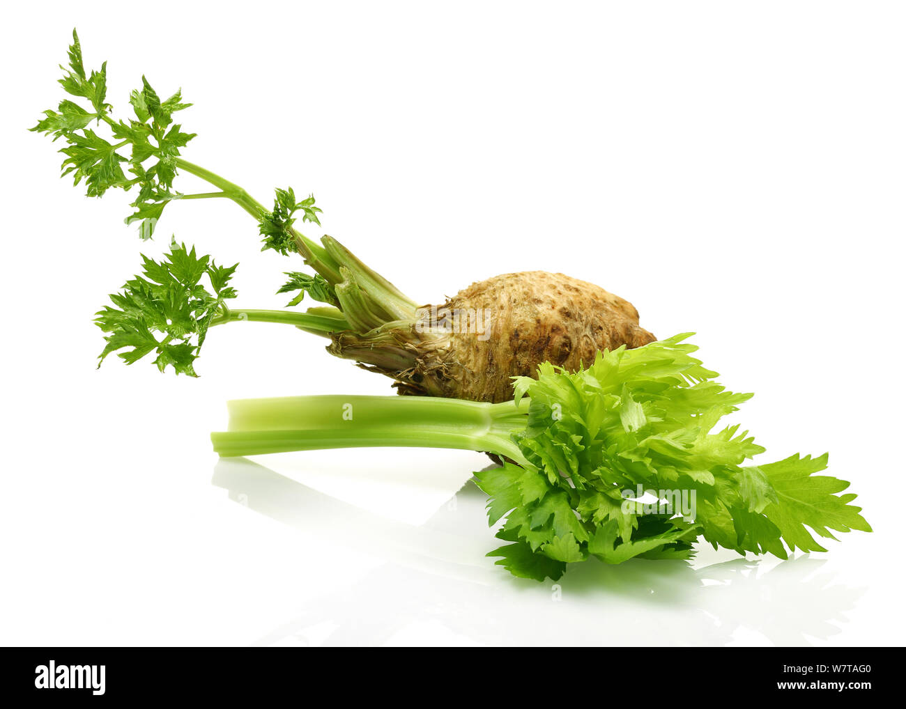 Fresh celeriac root with celery stalks isolated Stock Photo Alamy