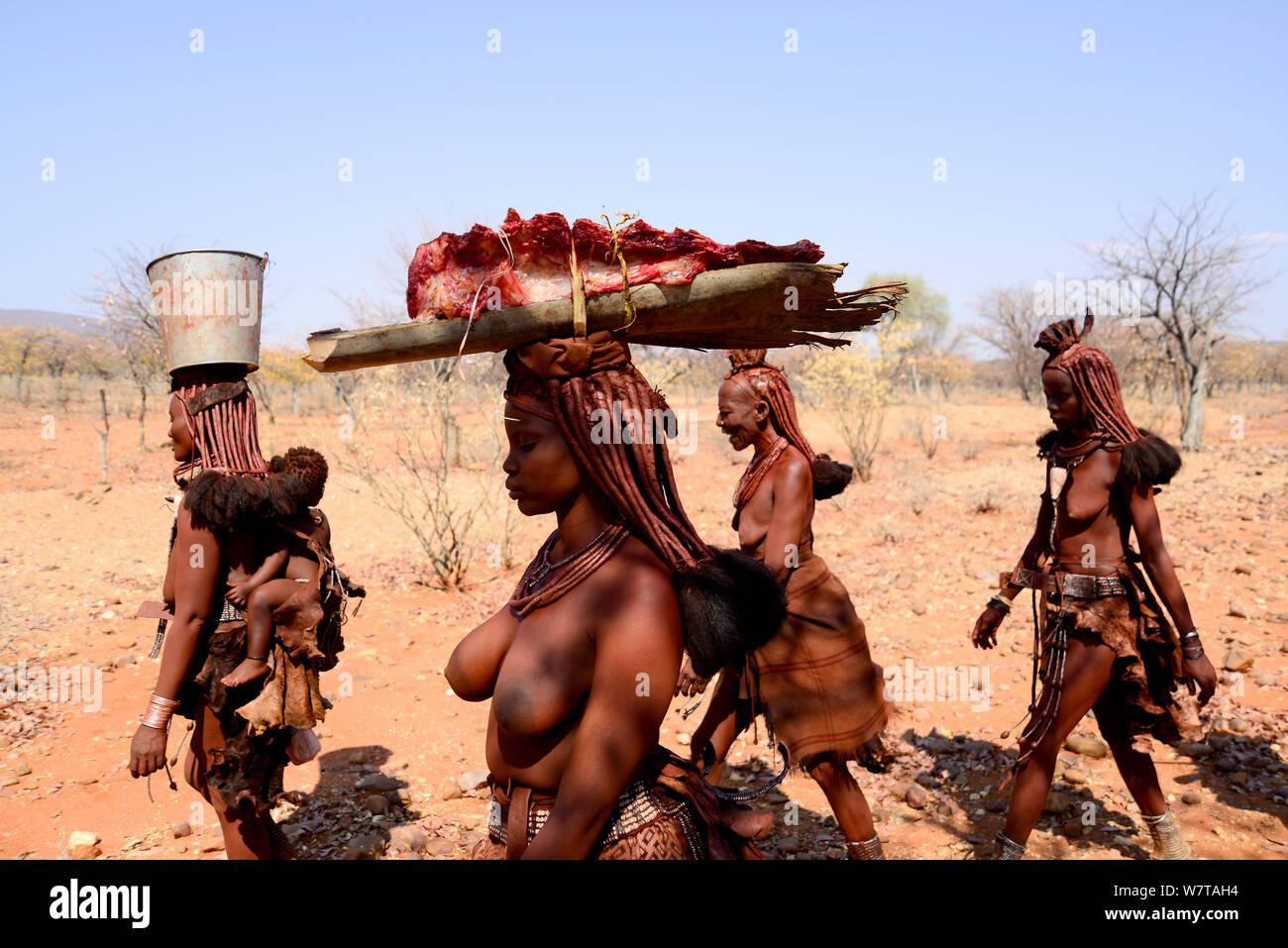 Himba women carrying meat on their heads. Kaokoland, Namibia, September 2013. Stock Photo